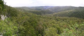 Guy-Fawkes-River-Nationalpark