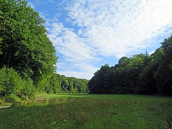 Ottenhäuser Grund