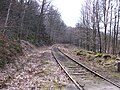 Bahnstrecke beim Haltepunkt Amselgrund (2016)