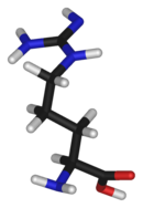 3D structure of L-arginine