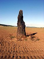 Menhir von Benzingerode