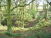 Moat in Castle Wood