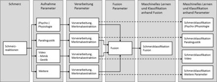 Vereinfachter Prozess der Automatisierten Schmerzerkennung. Ablauf von links nach rechts: Entstehung des Schmerzes, Aufnahme der Schmerzreaktionen, (optionale) Fusion der Modalitäten, Schmerzklassifikation anhand Fusion, Schmerzklassifikation anhand einzelner Parameter.