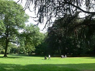 Wiese im Hofgarten, 2011