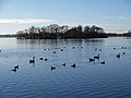 Swan Island on Hornsea Mere (2007)