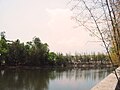 Northeast view of Las Piñas Salt Beds