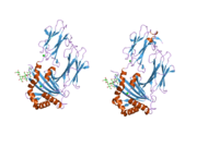 2bc4: Crystal structure of HLA-DM