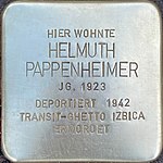 Stolperstein für Helmuth Pappenheimer