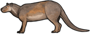 Tetraclaenodon puercensis