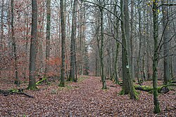 Teilabschnitt des Wanderwegs