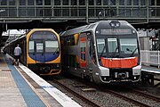 D44 & D51 at Hornsby as an additional service for the first day of Mariyung operations, December 2024