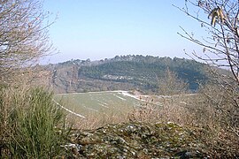 Ausblick vom Ettringer Bellerberg