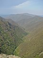 Kanangra Grand Gorge