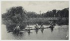 Canoe in the Coropina Creek (before 1920)