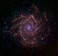 M74-Galaxie