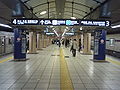 Hanzomon Line platforms, March 2008