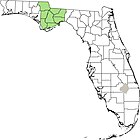 Map of Florida showing county borders with green shading on counties representing the distribution of Symphyotrichum plumosum.