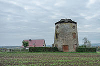 Turmwindmühle Alleringersleben