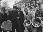 Links ein mit einem Sack zum Wandern abgedeckter Bienenkorb in Amersfoort, 1951