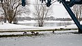 Echinger See im Winter