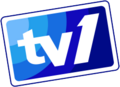 TV1's fourth logo (2004–2006).