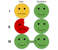 An example of three types of symbiotic relationships: commensalist (I), parasitic (II), and mutualist (III). In each relationship, the symbiont benefits from the host. In a mutualist relationship (III) the host is benefits. In a parasitic relationship (II), the host is harmed. Finally, in a commensalist relationship (I), the host is unaffected