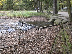 Zulauf des Fischbachs in den Valznerweiher