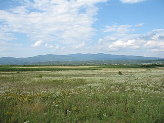 von Süden (Okrug Toplica)