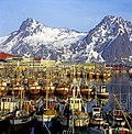 Fra havna i Svolvær