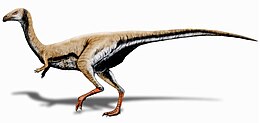 A Limusaurus rekonstrukciója