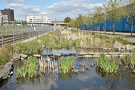 Kanal langs T-banen, nordvest i parken. Foto: Helge Høifødt