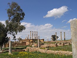 Sede titolare di Tuburbo Maggiore