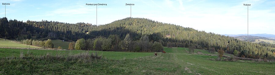 Widok na Przełęcz pod Żeleźnicą od południa