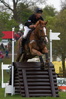 Andrew Nicholson mit Nereo, Badminton Horse Trials 2010