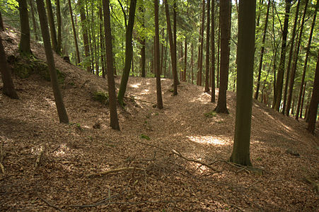 Bild 5: Wallgraben an der Nordwestecke des Burgfelsens