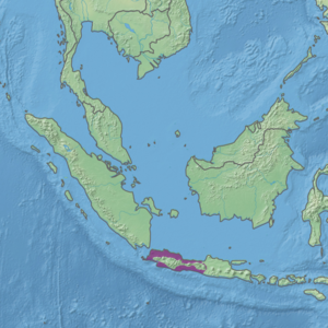 Ecoregion territory (in purple)