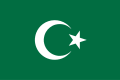 Bosna Hersek İslam Birliği bayrağı.[123]