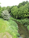 Die Südaue im LSG Fohlenstall - Haster Wald