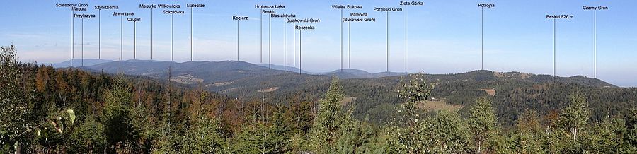 Panorama widokowa z okolic Wielkiego Gibasów Gronia na główny grzbiet i część Grupy Kocierza