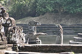 Das Pferd bei hohem Wasserstand