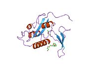 1pin: PIN1 PEPTIDYL-PROLYL CIS-TRANS ISOMERASE FROM HOMO SAPIENS