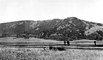 Location of the petrified forest on Specimen Ridge, 1938