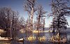 Reelfoot Lake