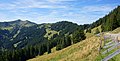 Riedberger Horn und Großer Ochsenkopf vom Bolsterlanger Horn