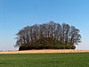 Tumulus van Hottomont en omliggende terreinen