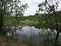 Lake near the village