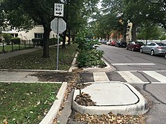 Entwässerungsmulde anstelle eines Straßenablaufs (Chicago, 2017)