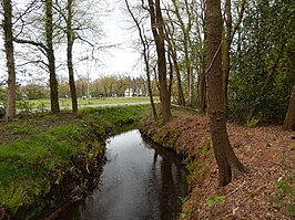 De Leijenloop ter hoogte van het Kluivingsbos