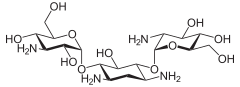 Struktur von Kanamycin C