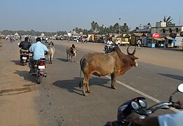 Útakadály, India